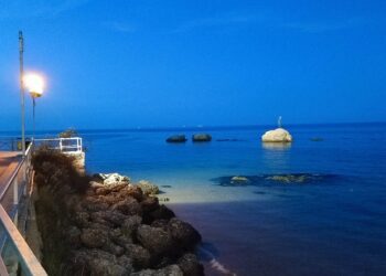 Allarme animali selvatici, altre due persone aggredite stanotte a Vasto Marina