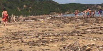 Punta Penna, spiaggia invasa da tronchi e rami