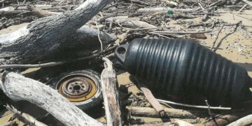 «Non ci sono nidi di fratino»: ok alla pulizia della spiaggia di Punta Penna con i mezzi meccanici
