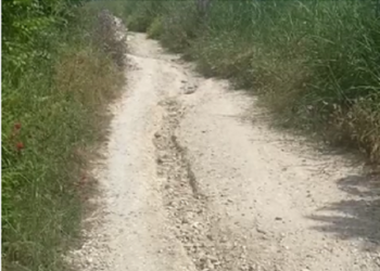 «Sentiero ciclabile nella Riserva come un percorso a ostacoli»