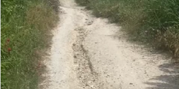 «Sentiero ciclabile nella Riserva come un percorso a ostacoli»