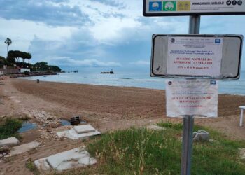 Animali domestici in spiaggia, a Vasto Marina quattro tratti dedicati a loro