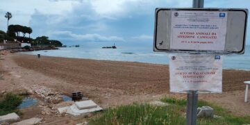 Animali domestici in spiaggia, a Vasto Marina quattro tratti dedicati a loro