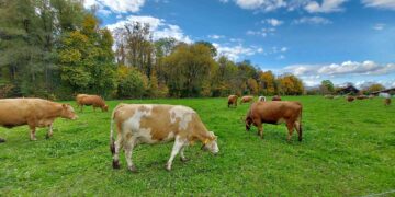 Gli studenti dell’Università di Pisa in Abruzzo per studiare gli allevamenti sostenibili