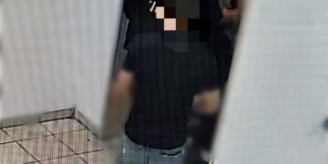 Teppisti vandalizzano l’ascensore del Complesso Vittoria