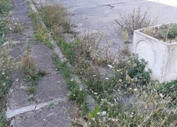 «Case popolari, l’Ater pulisca i piazzali impraticabili»