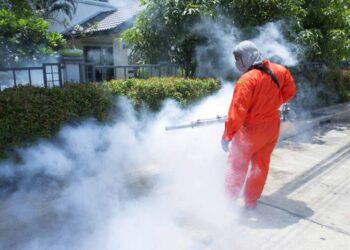 Lanciano, il 31 luglio, 1 e 2 agosto gli interventi di disinfestazione in città