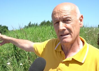 «Questo incrocio è pericolosissimo. Da anni chiediamo sicurezza, ma nessuno ci ascolta»