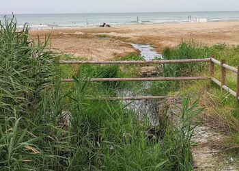 Scarichi abusivi a Fosso Marino, serve il robot per scovarli