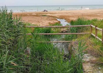 Fosso Marino, il Comune eseguirà nuovi interventi «immediati»: via piante e detriti