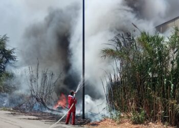 Incendio sulla Fondovalle Sinello, vigili del fuoco salvano capannone