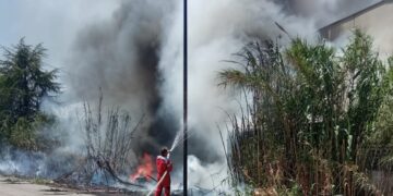 Incendio sulla Fondovalle Sinello, vigili del fuoco salvano capannone