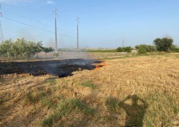 Incendi: in fiamme a Casalbordino palo della luce. San Salvo, rogo vicino alla Trignina