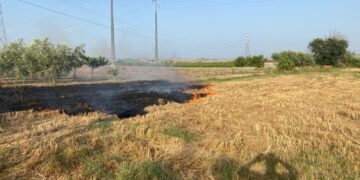 Incendi: in fiamme a Casalbordino palo della luce. San Salvo, rogo vicino alla Trignina