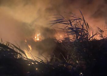 Incendio notturno lungo il Trigno, vigili del fuoco circoscrivono le fiamme