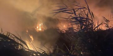 Incendio notturno lungo il Trigno, vigili del fuoco circoscrivono le fiamme