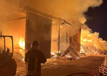 Fiamme nella zona industriale: incendio in un’azienda di imballaggi