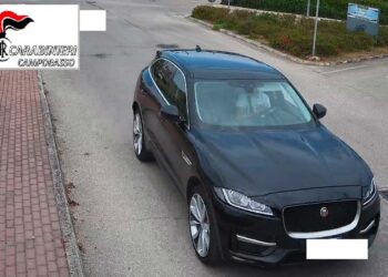 Si vantava sui social delle auto rubate in Abruzzo: arrestato 19enne di San Severo