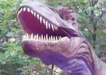 “Un viaggio tra i dinosauri”: nasce il Jurassic Sangro