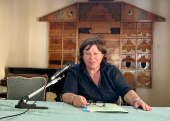 Forfait Malgioglio, l’assessore risponde: «Non ci sto a farmi dare dell’incapace»