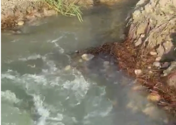 «Crisi idrica non è responsabilità di Arap. Istituire un tavolo delle emergenze»