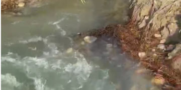 «Crisi idrica non è responsabilità di Arap. Istituire un tavolo delle emergenze»