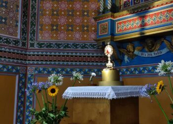 Una vita breve dedicata agli altri: Stella Maris accoglie la reliquia di Carlo Acutis