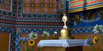 Una vita breve dedicata agli altri: Stella Maris accoglie la reliquia di Carlo Acutis