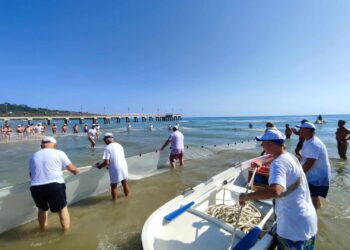 Reti in mare a Vasto Marina: rivive la sciabica, l’antico rito della pesca collettiva