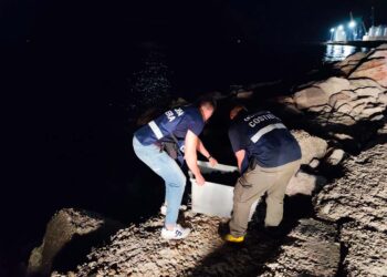 La guardia costiera scopre 3 pescatori di frodo: 400 ricci e 25 chili di polpi rigettati in mare
