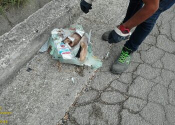 L’amministrazione comunale avvia controlli contro l’abbandono dei rifiuti