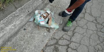 L’amministrazione comunale avvia controlli contro l’abbandono dei rifiuti