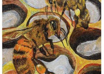 Si vota fino al 26 per scegliere le nuove opere di “Un Mosaico per Tornareccio”