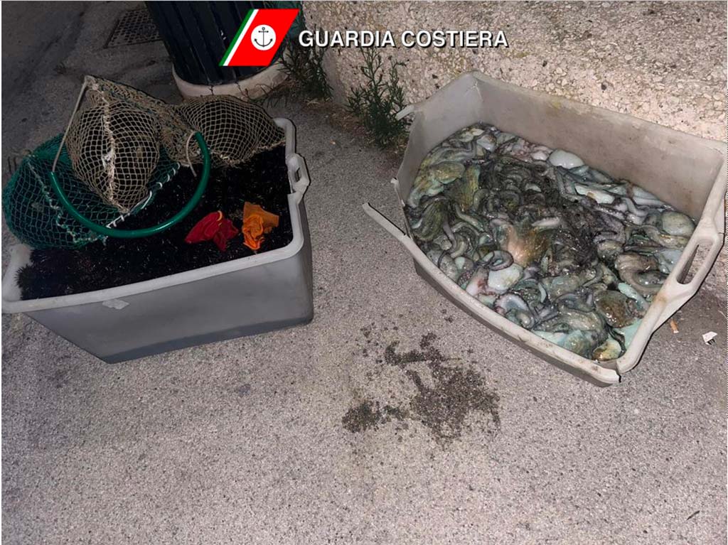 Pescatori abusivi, la Guardia costiera di Terracina sequestra 3300