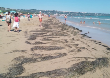 «Spiaggia piena di alghe e strada sporca, non siamo turisti di serie B»