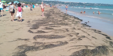 «Spiaggia piena di alghe e strada sporca, non siamo turisti di serie B»