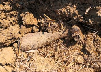 Fatto brillare a Sant’Eusanio del Sangro l’ordigno bellico rimasto incastrato in un aratro