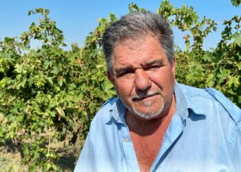 «Per noi agricoltori del Vastese un’altra annata da dimenticare»