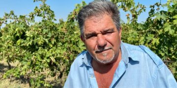 «Per noi agricoltori del Vastese un’altra annata da dimenticare»