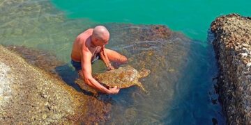 “Caretta caretta” ferita a Punta Penna salvata da guardia costiera e bagnante
