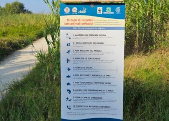 Cartelli nella Riserva Marina di Vasto: come comportarti se incontri lupi, cinghiali e caprioli