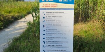 Cartelli nella Riserva Marina di Vasto: come comportarti se incontri lupi, cinghiali e caprioli