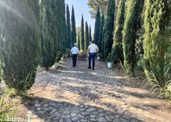 Sgomberi Canale: saranno abbattuti anche i due filari di cipressi del viale d’ingresso alla villa