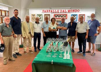 Apprezzata la mostra “Farfalle dal mondo” a Palazzo d’Avalos