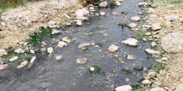 Fogna rotta: per oltre due mesi i liquami scorrono tra campi coltivati e valloni