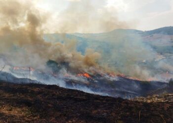 Fondovalle Treste, esteso incendio spento da vigili del fuoco e protezione civile