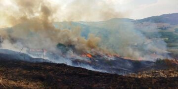 Fondovalle Treste, esteso incendio spento da vigili del fuoco e protezione civile