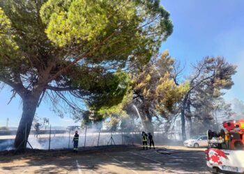 Incendio a ridosso del parcheggio dei dipendenti Pilkington: fiamme spente dai vigili del fuoco