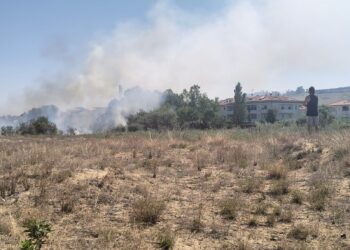 Rogo minaccia case e pista ciclabile: pompieri e protezione civile evitano il peggio