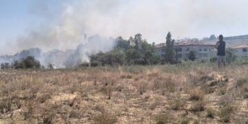 Rogo minaccia case e pista ciclabile: pompieri e protezione civile evitano il peggio